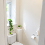 WC1